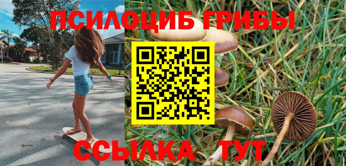 Псилоцибиновые грибы мухоморы Ивантеевка