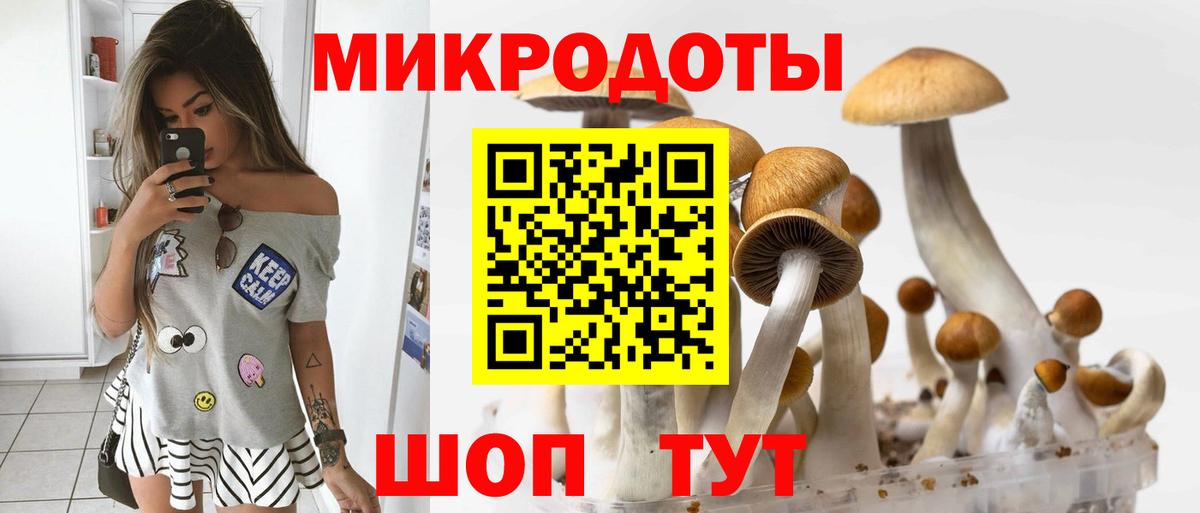 Галлюциногенные грибы Magic Shrooms  наркошоп  Ивантеевка  Вход с VPN 