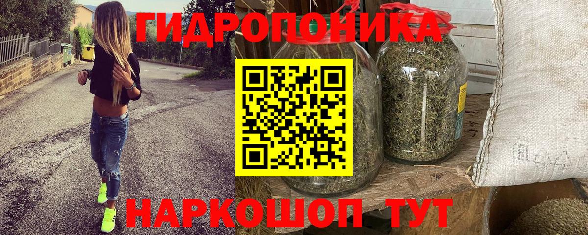 Ивантеевка  Каннабис план  Канабис сатива  Вход с VPN 